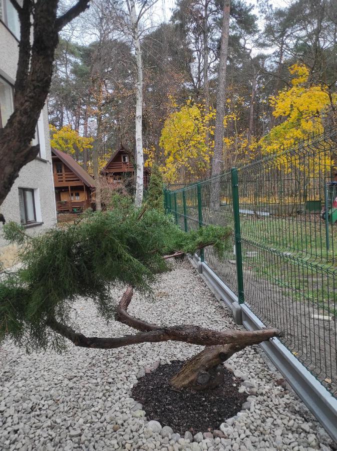 Chatki Saturnina I Pokoje Swinoujscie Kültér fotó